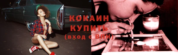 СК Горняк