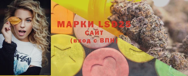 мяу мяу мука Гусь-Хрустальный