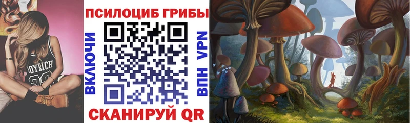 Псилоцибиновые грибы мухоморы  Купить закладки  Кологрив 