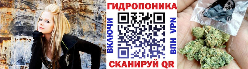 Купить где  Кологрив  Конопля VHQ 
